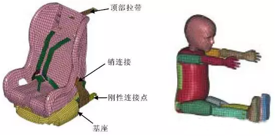 有限元在生物醫(yī)療三維人體建模方面的應用