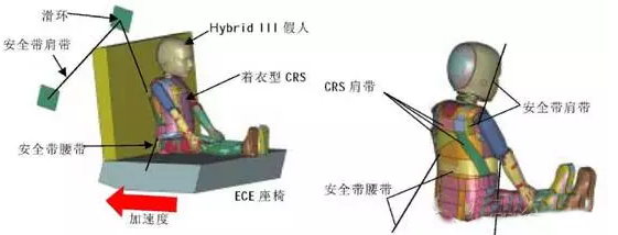 有限元在生物醫(yī)療三維人體建模方面的應用